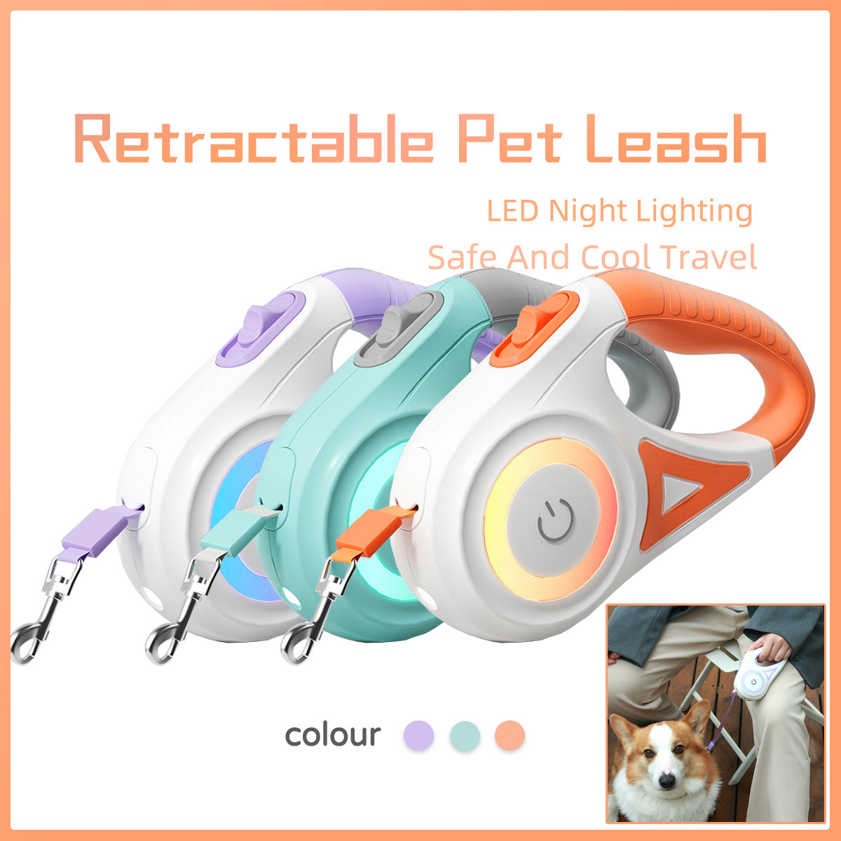 Retractable Dog Leash with Adjustable Collar