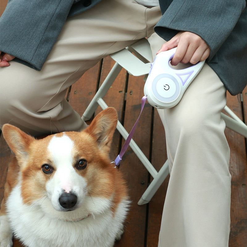 Retractable Dog Leash with Adjustable Collar