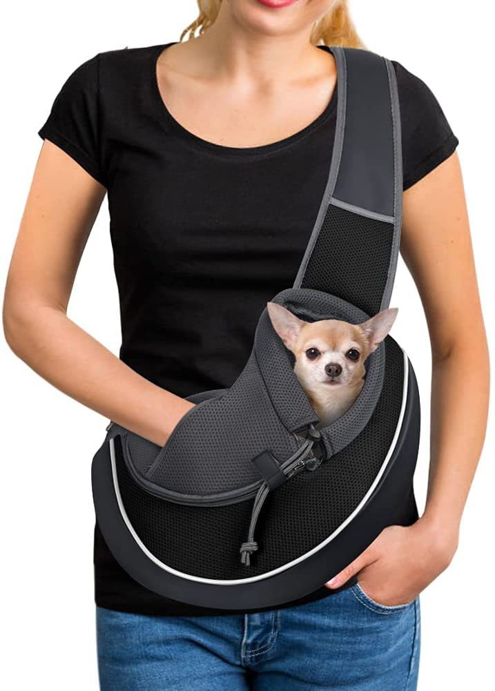 Carrying Pets Bag for Women